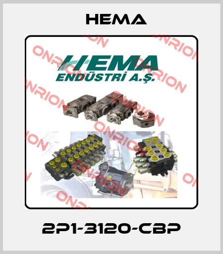 2P1-3120-CBP Hema