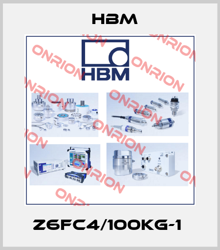 Z6FC4/100KG-1  Hbm