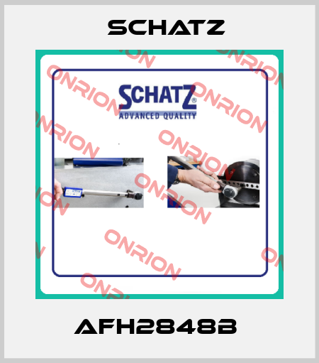 AFH2848B  Schatz