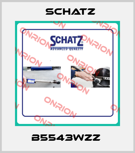 B5543WZZ  Schatz