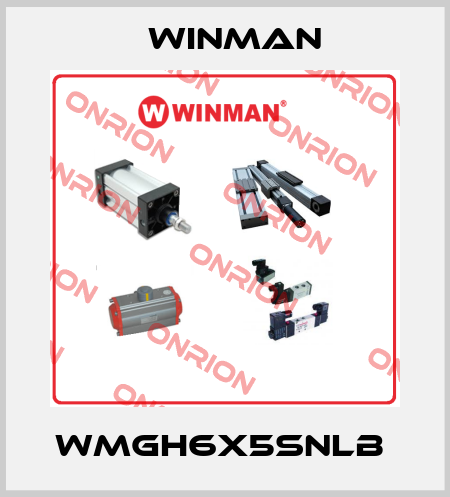 WMGH6X5SNLB  Winman