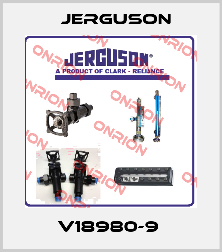 V18980-9  Jerguson