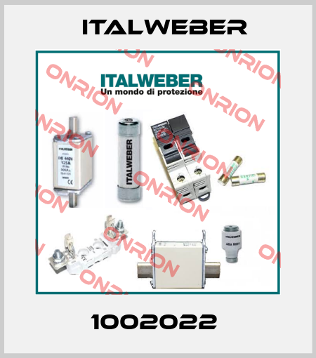 1002022  Italweber