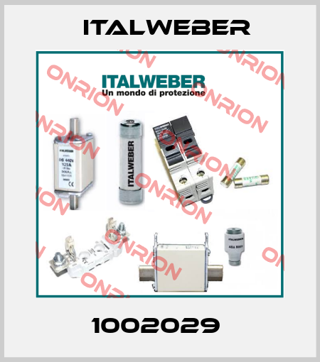 1002029  Italweber