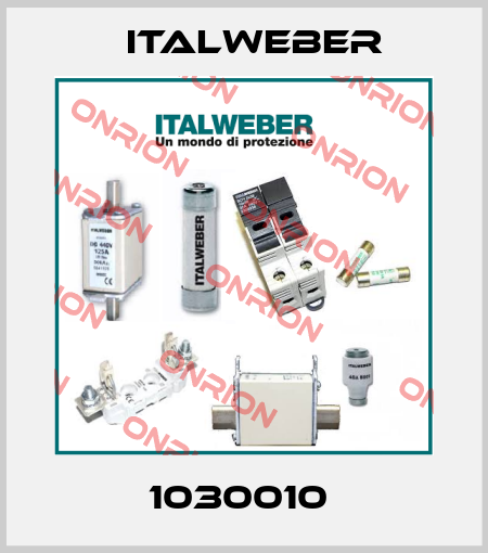 1030010  Italweber