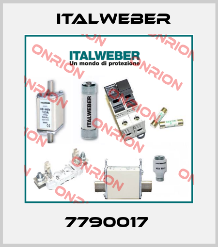 7790017  Italweber