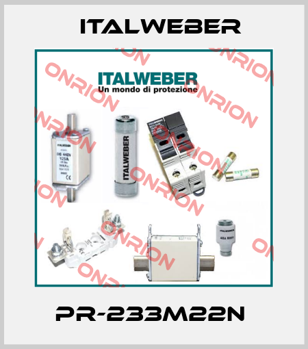PR-233M22N  Italweber
