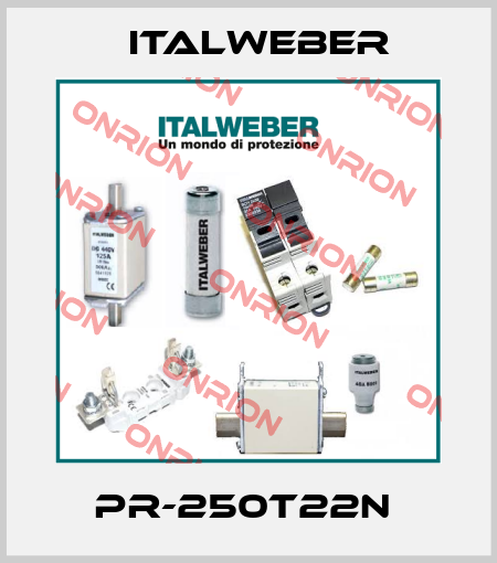 PR-250T22N  Italweber