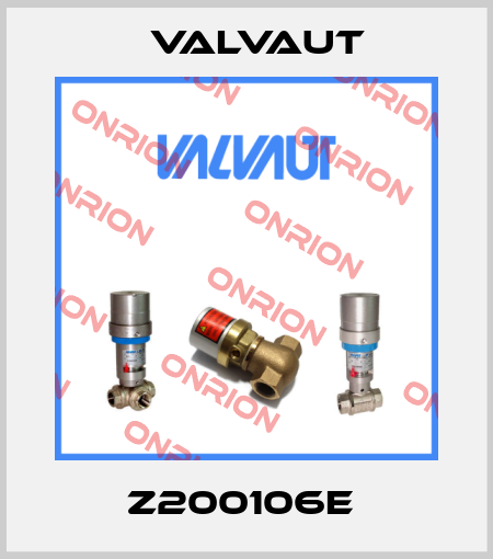 Z200106E  Valvaut