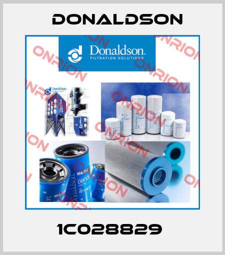 1C028829  Donaldson