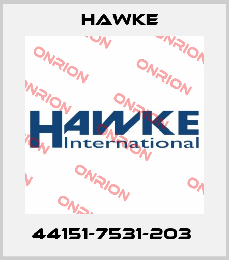44151-7531-203  Hawke