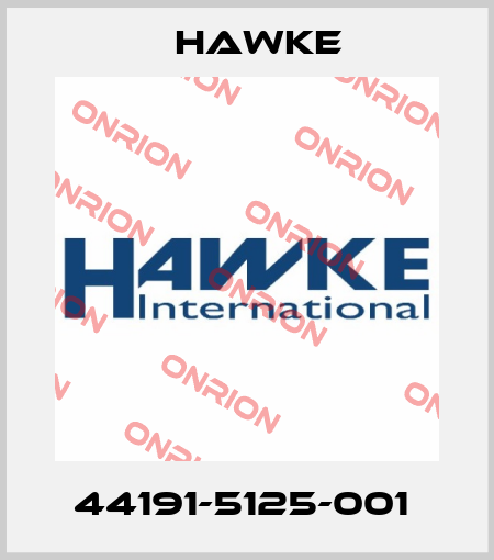 44191-5125-001  Hawke