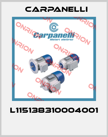 L115138310004001  Carpanelli