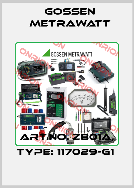 Art.No. Z801A, Type: 117029-G1  Gossen Metrawatt