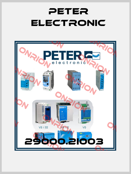 29000.2I003  Peter Electronic