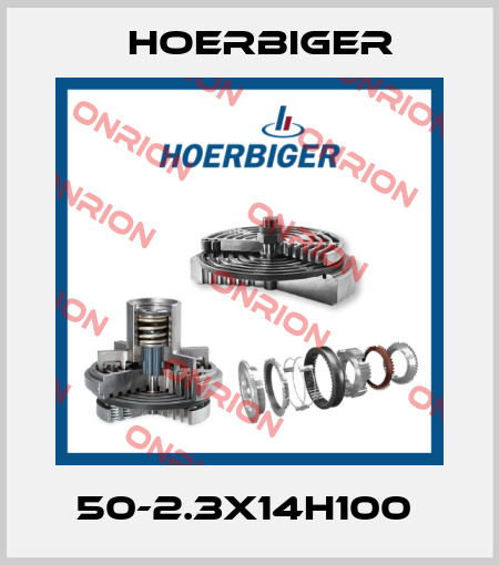 50-2.3X14H100  Hoerbiger