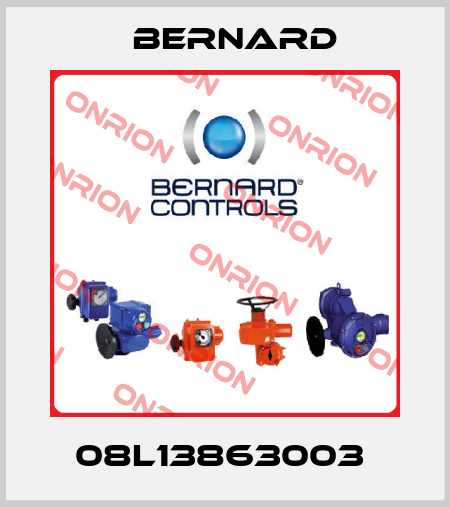 08L13863003  Bernard
