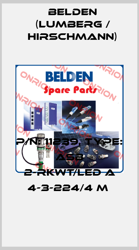 P/N: 11239, Type: ASB 2-RKWT/LED A 4-3-224/4 M  Belden (Lumberg / Hirschmann)