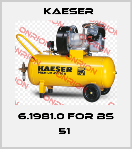 6.1981.0 for BS 51  Kaeser