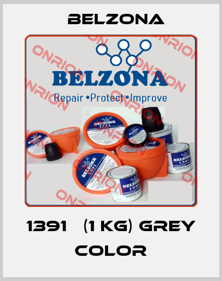 1391Т (1 kg) GREY color Belzona