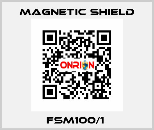 FSM100/1  Magnetic Shield