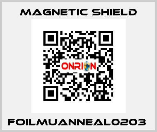 FOILMUANNEAL0203  Magnetic Shield