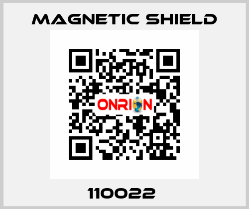 110022  Magnetic Shield