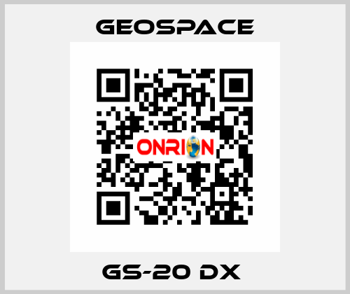 GS-20 DX  GeoSpace