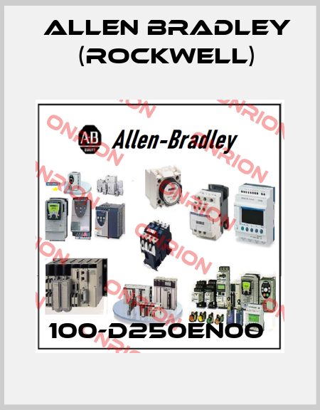 100-D250EN00  Allen Bradley (Rockwell)