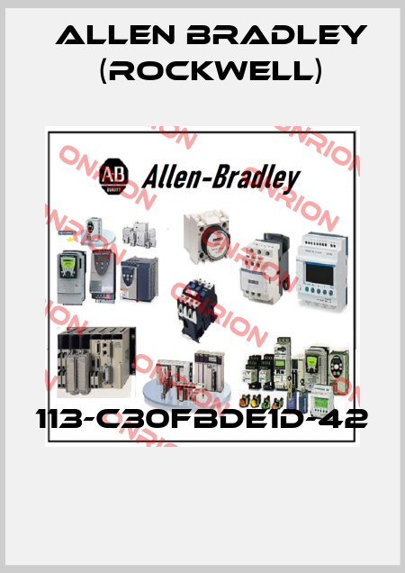 113-C30FBDE1D-42  Allen Bradley (Rockwell)