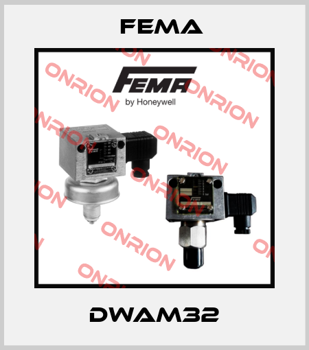 DWAM32 FEMA