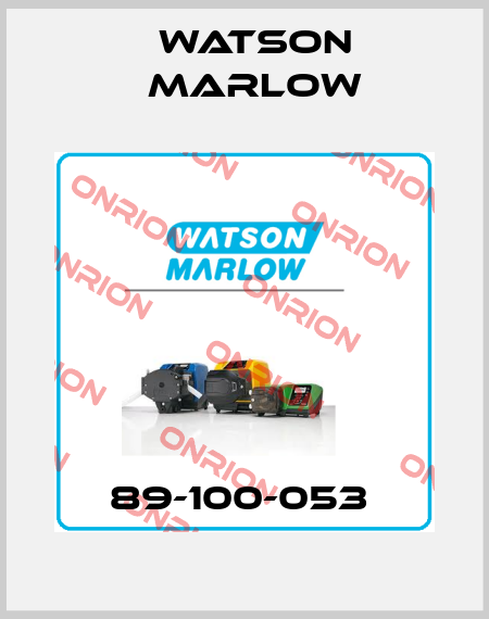 89-100-053  Watson Marlow
