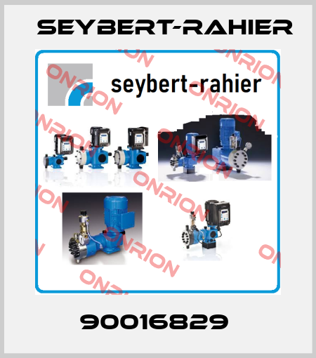 90016829  Seybert-Rahier