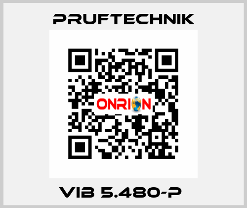 VIB 5.480-P  Pruftechnik