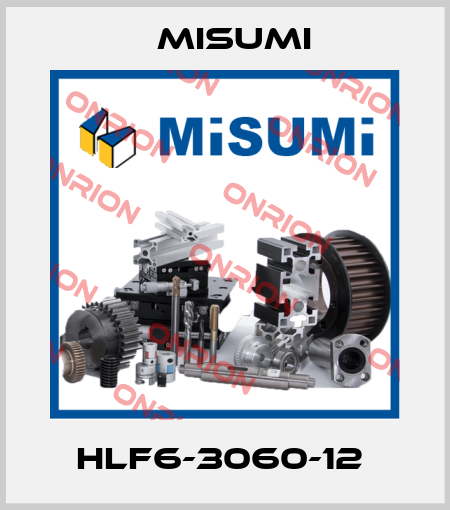 HLF6-3060-12  Misumi