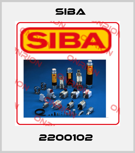2200102  Siba