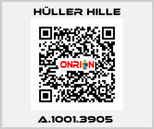 A.1001.3905  Hüller Hille