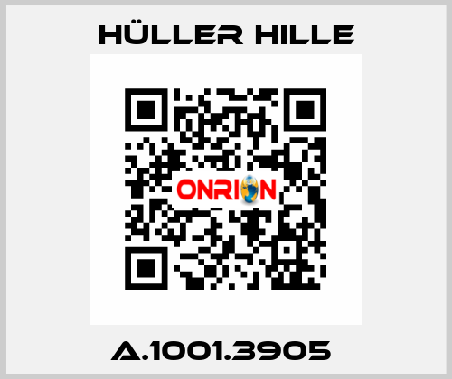 A.1001.3905  Hüller Hille