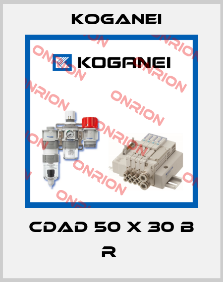 CDAD 50 X 30 B R  Koganei