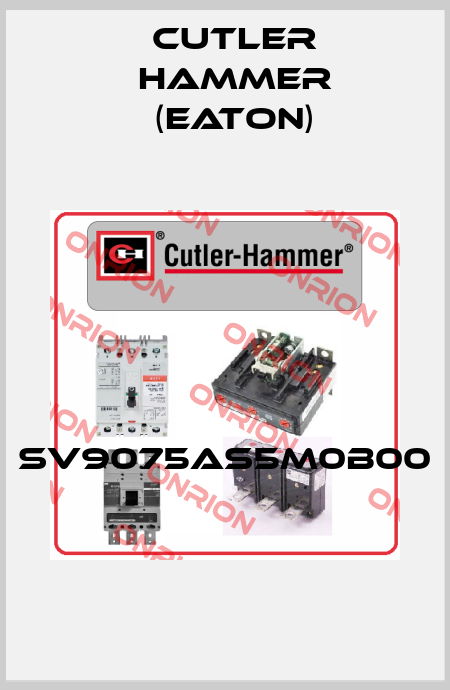 SV9075AS5M0B00  Cutler Hammer (Eaton)
