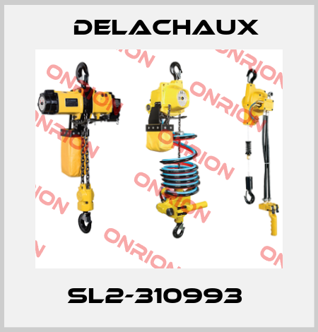 SL2-310993  Delachaux