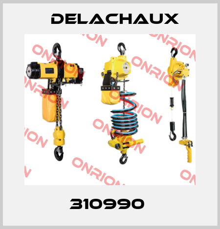 310990  Delachaux