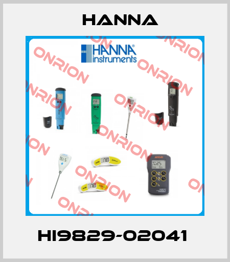 HI9829-02041  Hanna