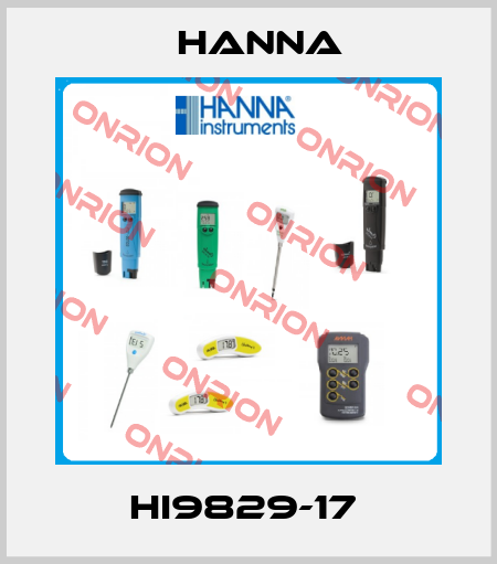HI9829-17  Hanna