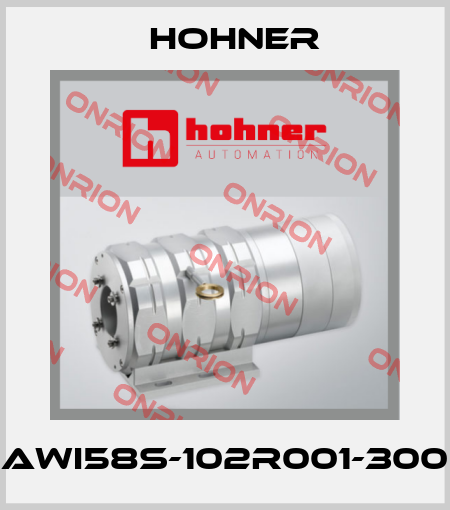 AWI58S-102R001-300 Hohner