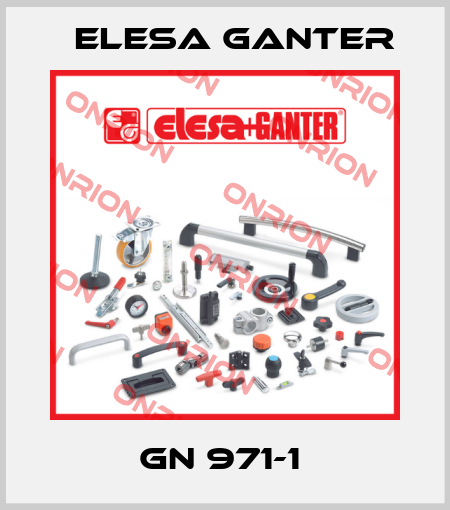 GN 971-1  Elesa Ganter