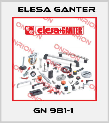 GN 981-1  Elesa Ganter