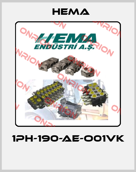 1PH-190-AE-O01VK  Hema