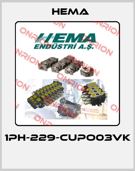 1PH-229-CUPO03VK  Hema