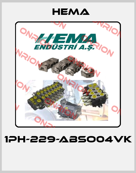 1PH-229-ABSO04VK  Hema